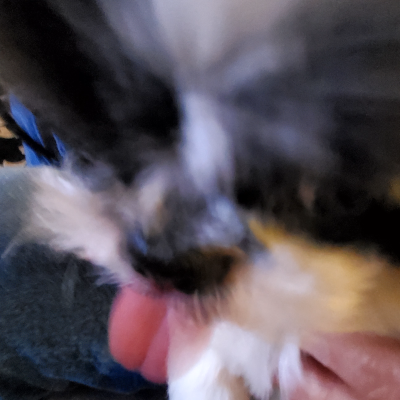 20230111_173016.png